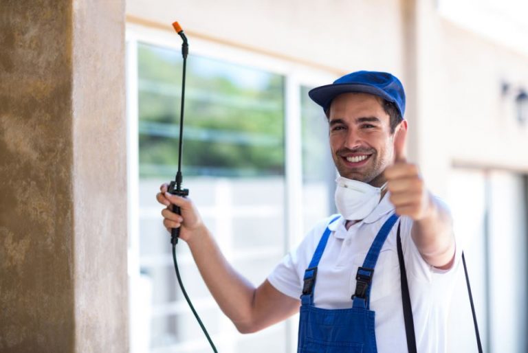 Pest Control Sacramento Pest Service Company Wild Animal Removal